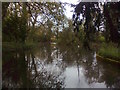 Adderbury Lake (the northern end)