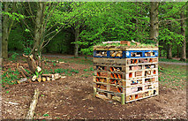 J4967 : 'Bug hotel', Castle Espie by Rossographer