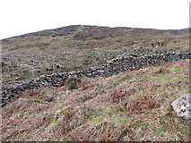 J3530 : The mountain wall of the Tollymore Estate by Eric Jones