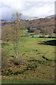 NY3303 : View of the Brathay bends by Peter Turner