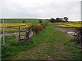 Public footpath south of Buck