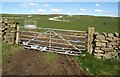 Gate and pasture, Heyshaw