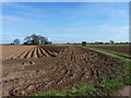 Footpath across fields at Stanford