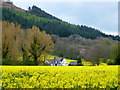 Combe Farm and Wapley Hill