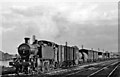 Down (northbound) WR freight at Naas Crossing, Haresfield