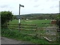 Footpath through a field, Havenstreet