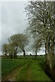 The Yapton/Ford parish boundary ditch