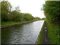 Gower Branch Canal viewed from Brades Hall Bridge