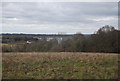 View to Bewl Water