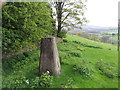 Farlow trig point