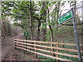 A path to Low Gelt, Hayton High Estate