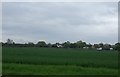 Farmland near Soham