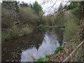 Pond at Cae-du