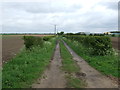 Farm track off West Row Road