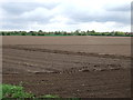 Farmland, Mildenhall