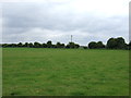 Farmland, Icklingham