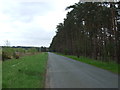 Road towards West Stow