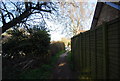 Footpath to Godden Wood