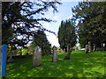 Saint Mary, Alderbury: churchyard (b)