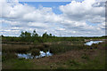 SJ6691 : The mossland from the hide at Risley Moss nature reserve      by Ian Greig