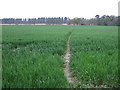 Footpath over field