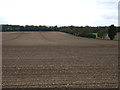 Farmland, Brockley Corner