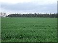 Farmland towards Seven Hills