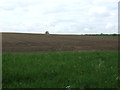 Farmland of Thurston Road