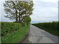 Norton Road towards Button Haugh Green