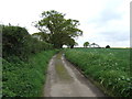 Track towards Warren Mill House