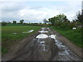 Muddy track near Haughley