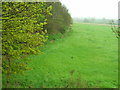 Farmland near Eden Nurseries