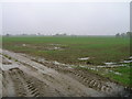 Muddy farmland off the B1115