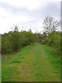 Wyre Forest NNR,  path over former railway line by Lodge Hill Farm