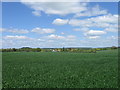 Fields north of A31