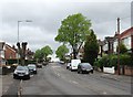 Bakersfield: Oakdale Road on a grey May morning