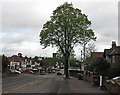 A grey May morning on Oakdale Road