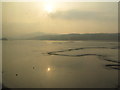 Creek on the Conwy mud