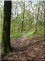 Sowerby Bridge Footpath 135 approaching Stansfield Mill Lane