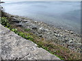 Rocky coastline below the Kilkeel Road (A2)