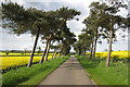 Lane from the Poplars, Toddington