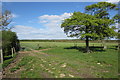 Path towards Milton Keynes and stile