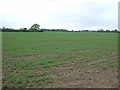 Farmland, Frating Green