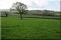 Farmland near Cilgwyn