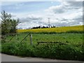 SJ7378 : Little-used field gate off Sudlow Lane by Christine Johnstone