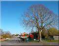 Playground, Drayton