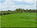 Meadow on the west side of Sudlow Lane