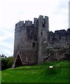 ST5394 : Chepstow Castle - Marten's Tower by Rob Farrow