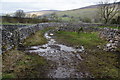 SD9271 : Farm track near Arncliffe by Bill Boaden