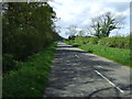 Road towards Collingham